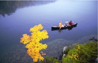 Algonquin