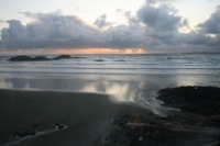 Tofino