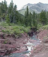Waterton Park