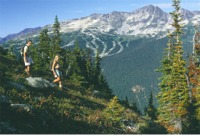 Whistler